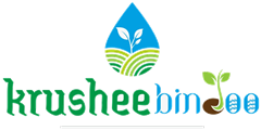 Krusheebindoo logo